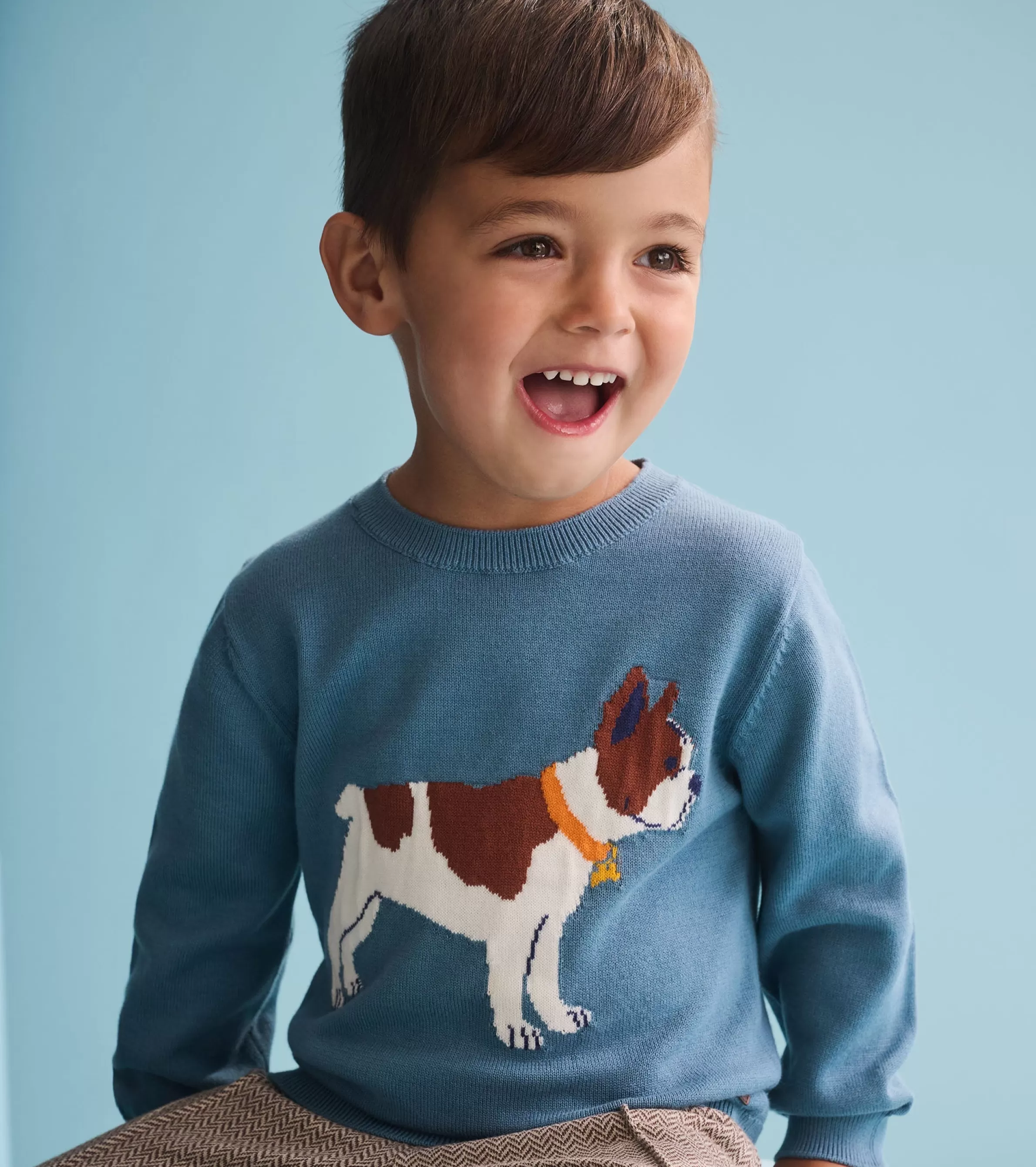 Hatley Sweaters*Baby & Toddler Boys French Bulldogs Crew Neck Sweater