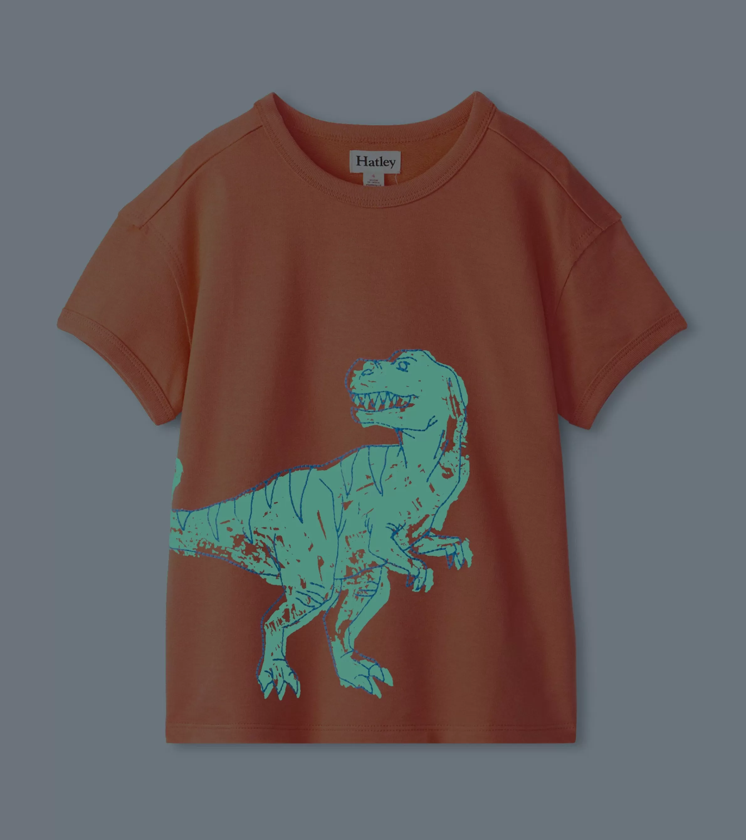 Hatley Tops*Boys Dino Glow Graphic Tee