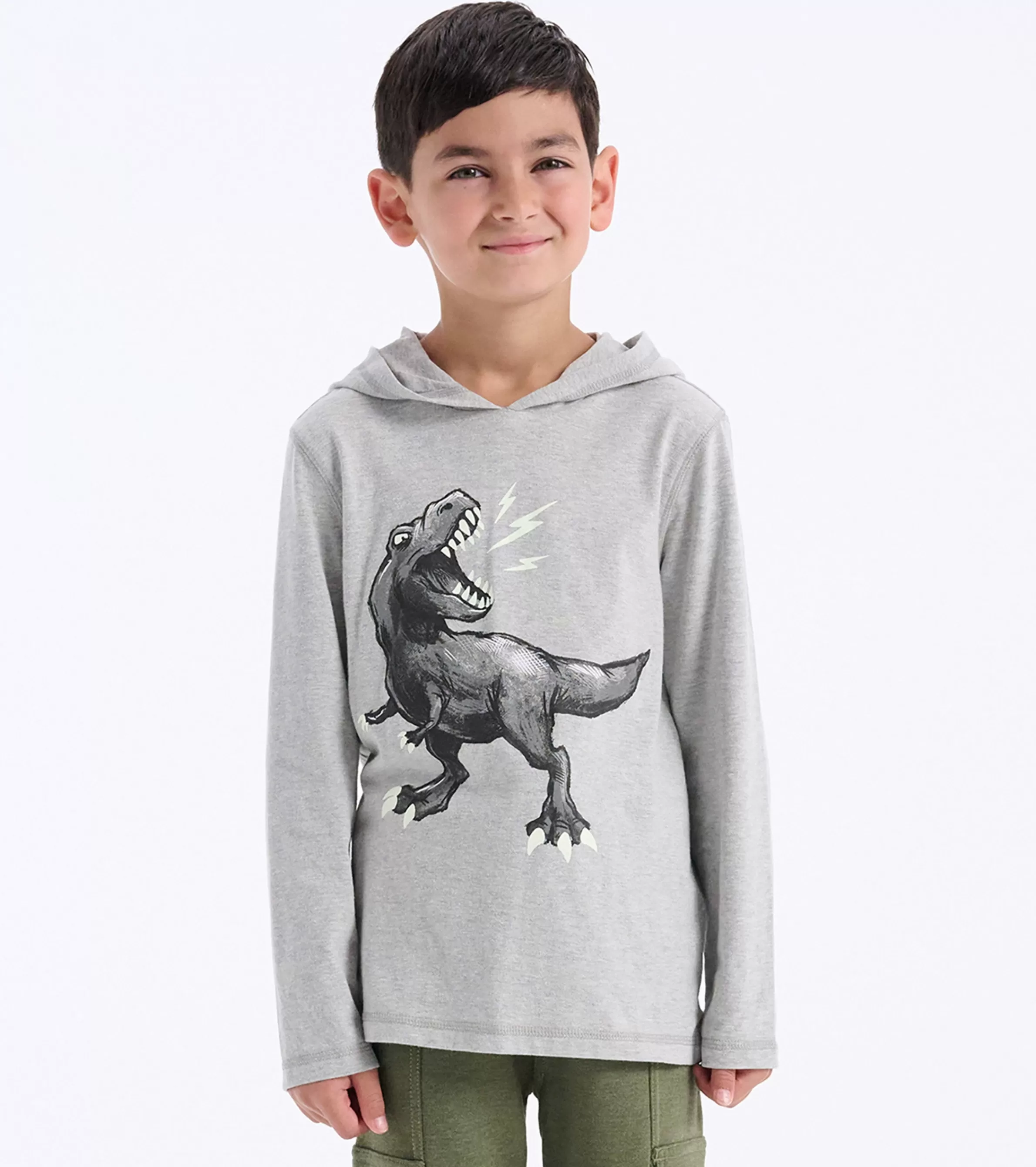 BOY Hatley Sweaters*Boys Dino Long Sleeve Hoodie Tee