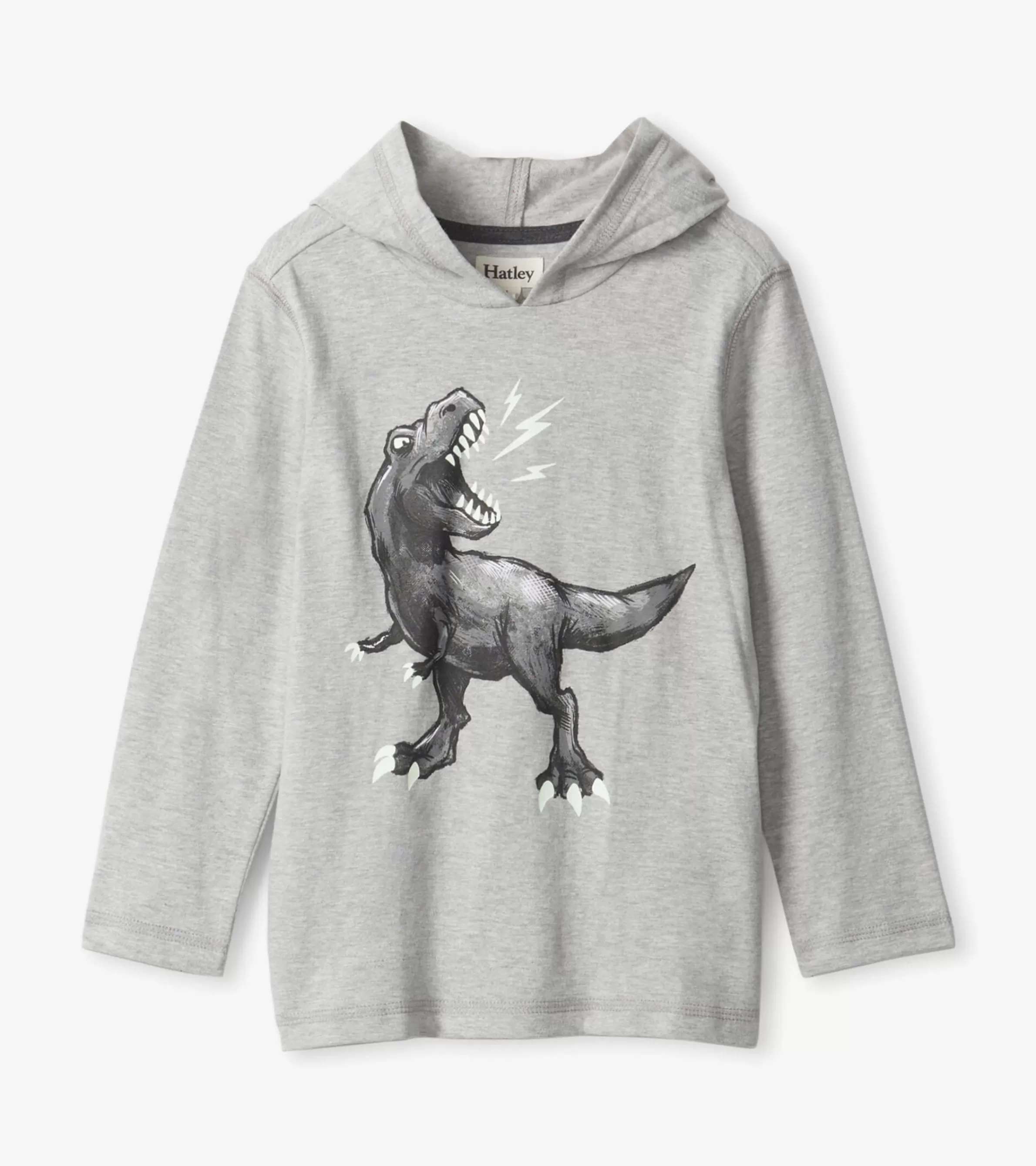 BOY Hatley Sweaters*Boys Dino Long Sleeve Hoodie Tee