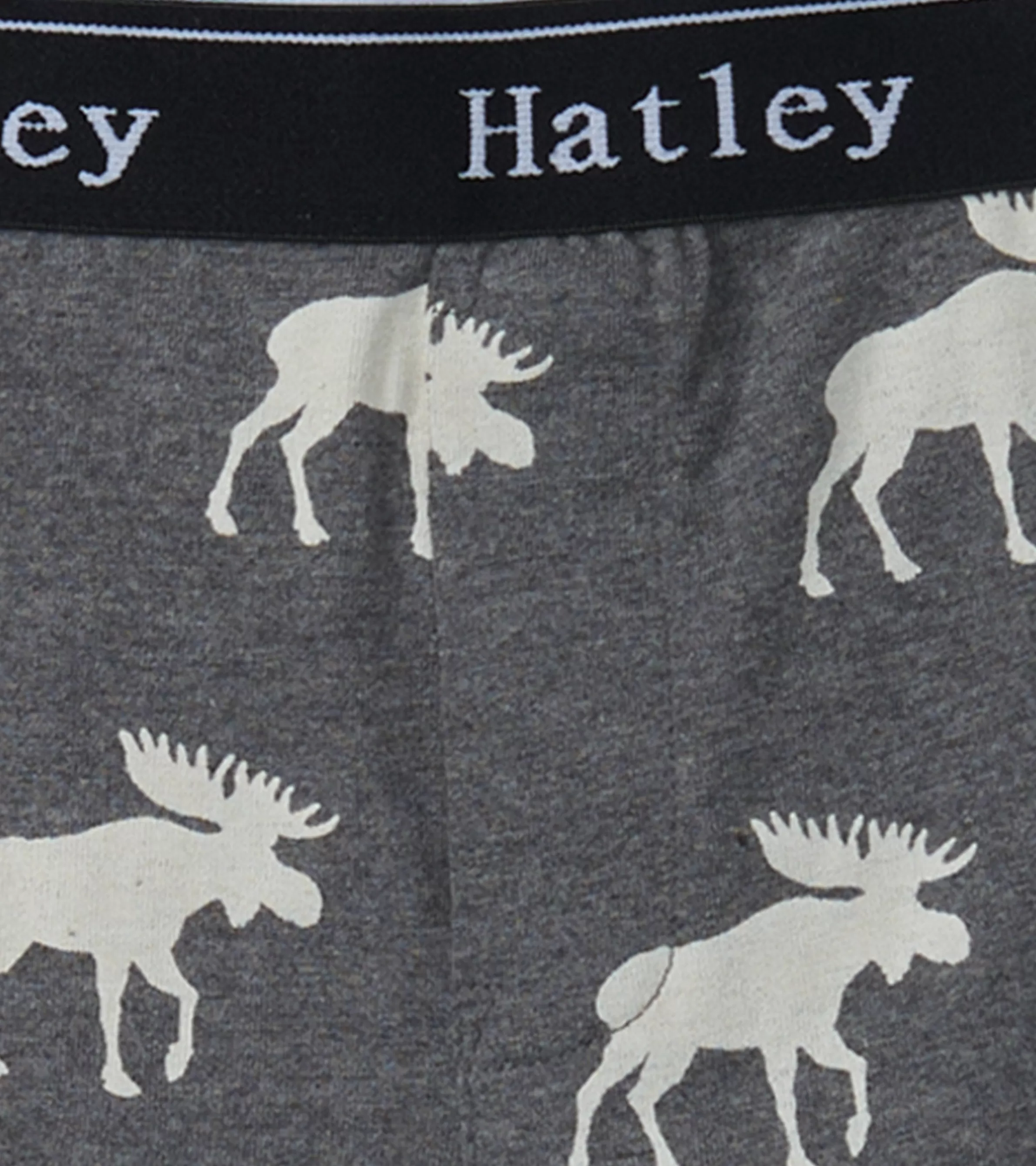 BOY Hatley Underwear | Accessories*Boys Silhouette Animals 3 Pack Boxer Briefs