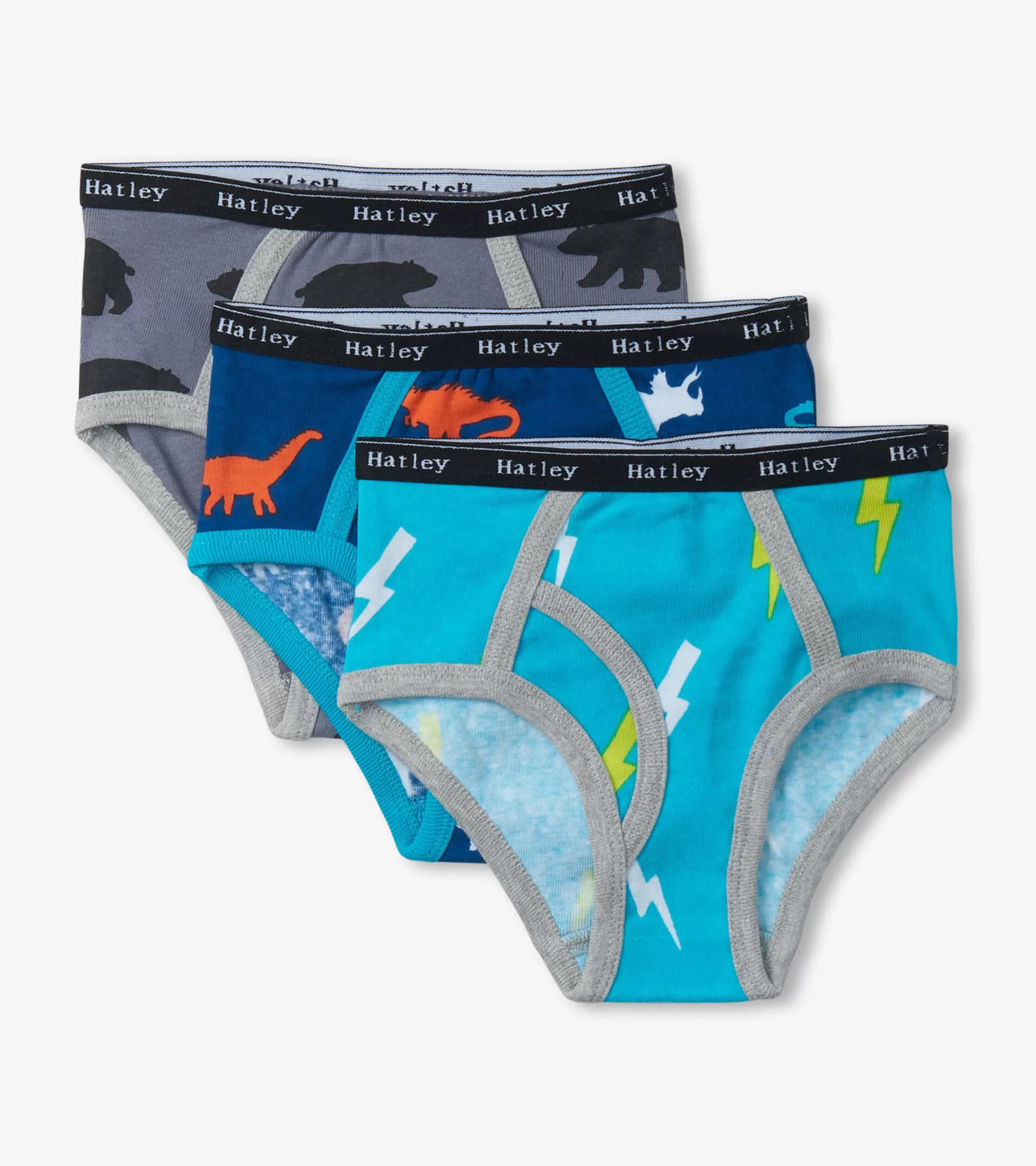 BOY Hatley Underwear | Accessories*Boys Silhouette Nature 3 Pack Classic Briefs