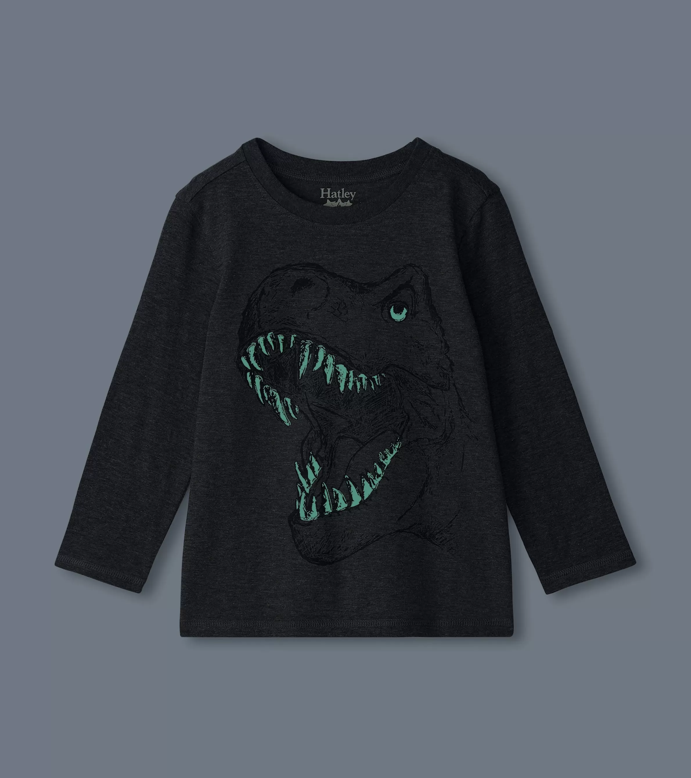 BOY Hatley Tops*Boys T-Rex Glow in the Dark Long Sleeve T-Shirt