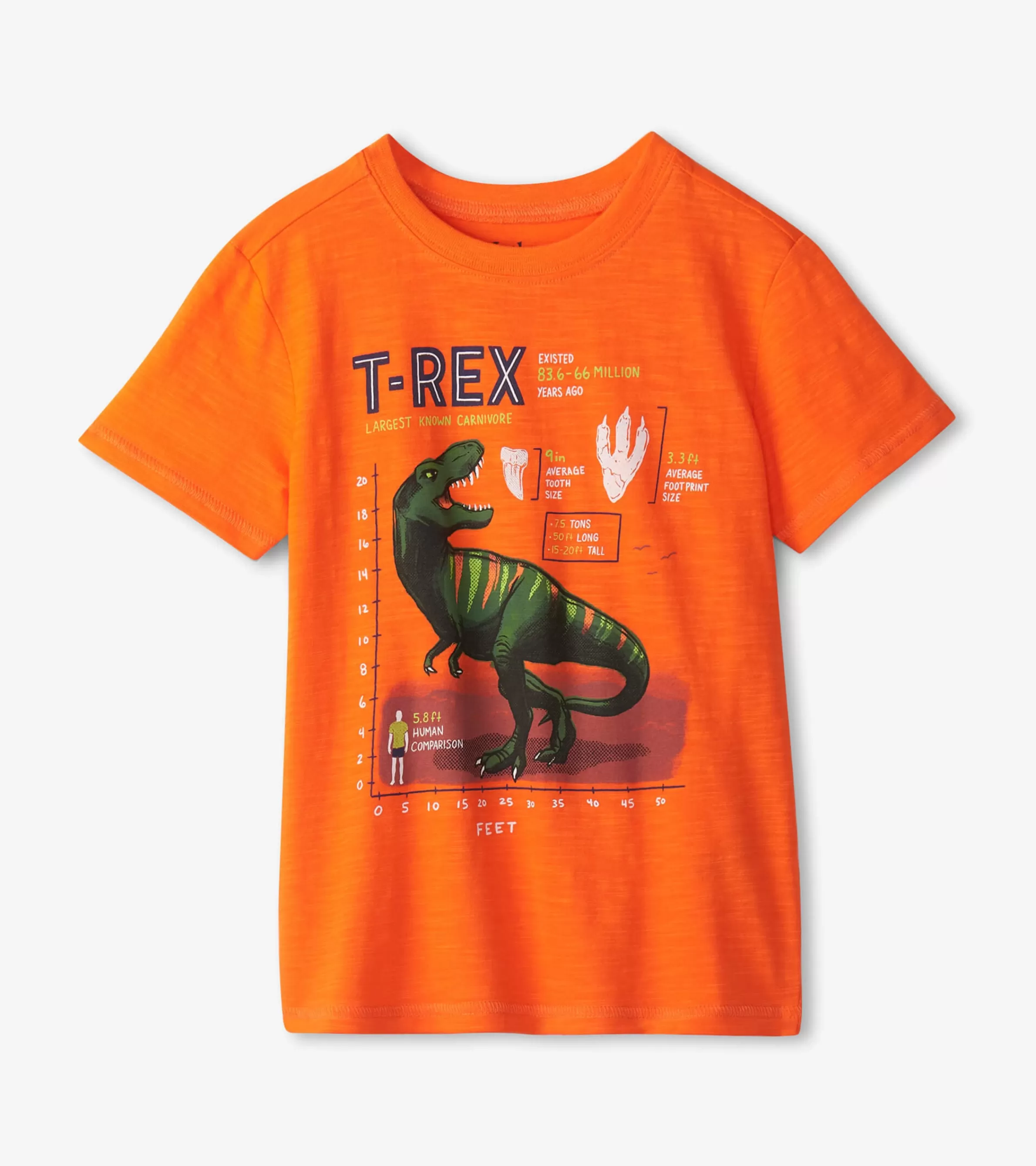 BOY Hatley Tops*Boys T-Rex Graphic Tee